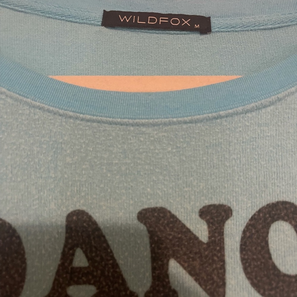 wildfox sweatshirt